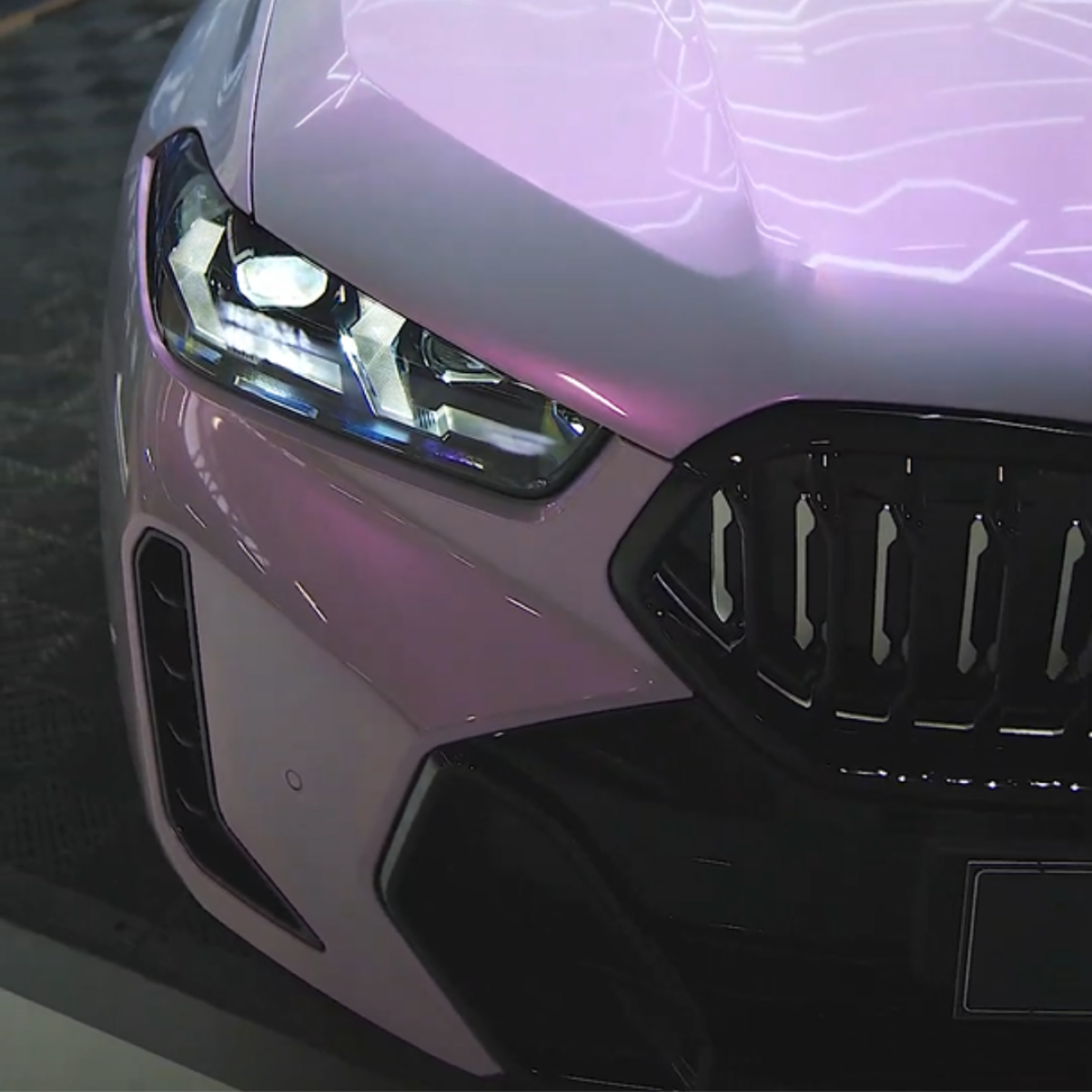 FANTASTIC PURPLE