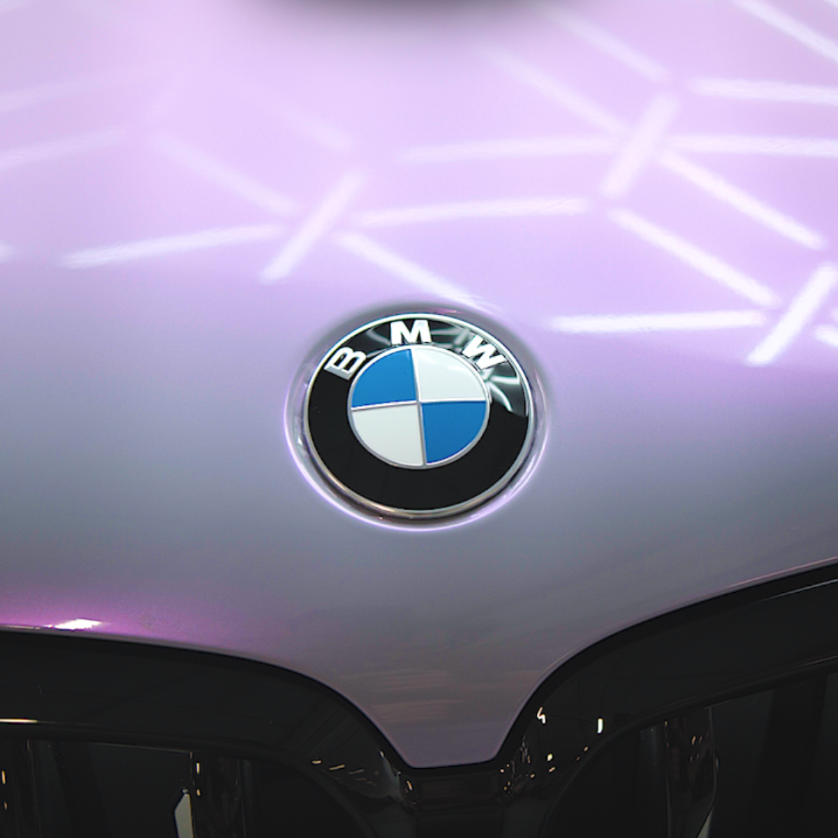 FANTASTIC PURPLE